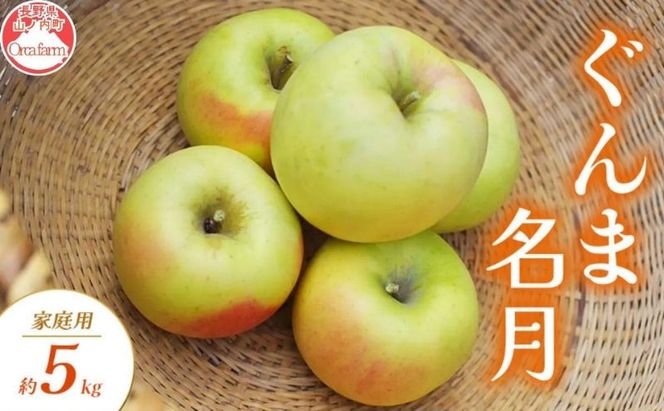 【2026年10月～発送】ぐんま名月 家庭用 約5kg りんご リンゴ 林檎 果物 フルーツ 長野県 長野 山ノ内町