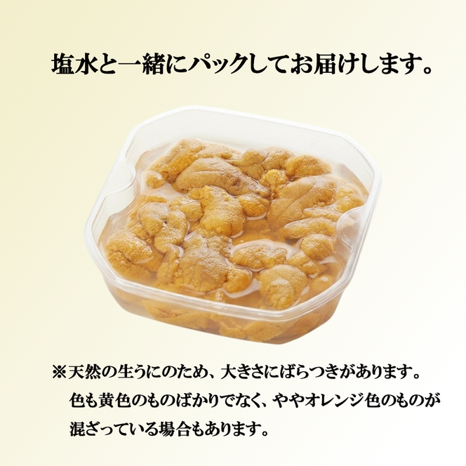 【期間限定】生うに 120g 大船渡産 ミョウバン不使用 冷蔵 うに ウニ 海鮮丼 岩手 三陸 大船渡