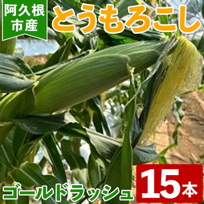 ＜先行予約受付中！2026年5月下旬以降順次発送予定＞とうもろこし ゴールドラッシュ(15本) 国産 旬 野菜 青果 トウモロコシ 期間限定【笹原正樹】akn094-01