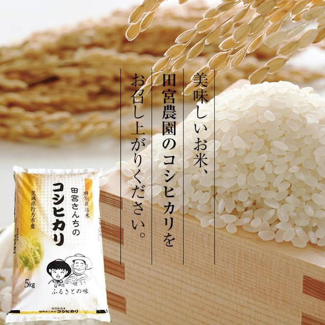 L-9 令和５年産【12ヵ月定期便】田宮さんちのコシヒカリ 5kg×12回