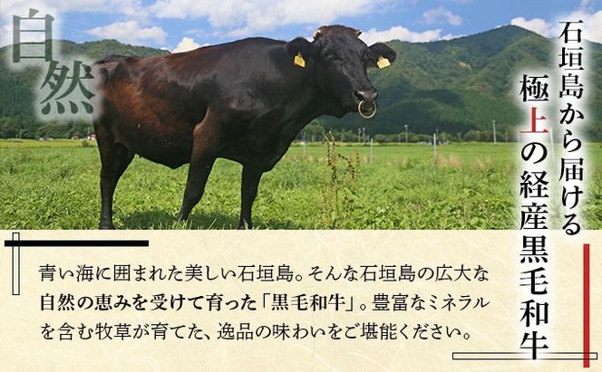 石垣島産経産黒毛和牛 焼肉セット【真空パック】 計 500g NA-01