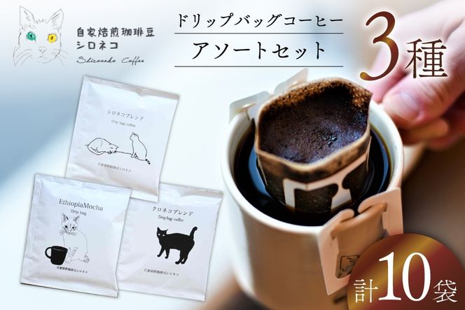ドリップバッグ コーヒー アソートセット 3種 10個セット（10杯分）[自家焙煎珈琲豆シロネコ 静岡県 吉田町 22424645] ドリップバッグ コーヒー 珈琲 coffee コーヒー粉 ドリップ 粉 ドリップパック ブレンド エチオピア アソート セット