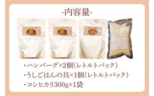 BX002　雨情の里牛ハンバーグ・うしごはんの具・コシヒカリのセット
