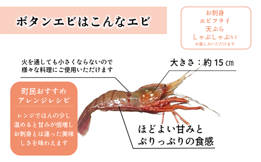 ＜ボタンエビ(冷蔵)　1kg＞甘く豊かな風味！ 北海道 道産 国産 乙部町産 牡丹海老 海老 日本海 天然 魚介類 新鮮 希少 お刺身  漁師直送 産地直送 送料無料
