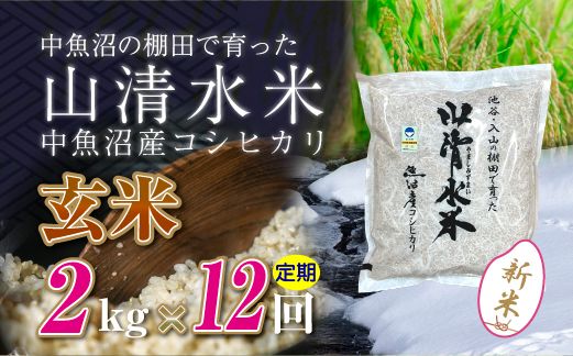 【令和8年産 新米】 【定期便／全12回】玄米2kg　新潟県魚沼産コシヒカリ「山清水米」十日町市 米