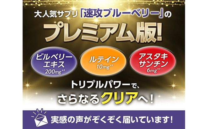 DHC速攻ブルーベリー V-MAX30日分12個セット サプリメント 健康食品 加工食品 ビルベリー ルテイン アスタキサンチン アントシアニン ビルベリーエキス末 