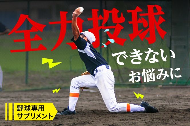 y򕌌sz싅pTvg@XyVXgSPPAi1j@y0106-004z