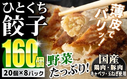 【野菜たっぷりヘルシー♪】一口ぎょうざ160個セット  B-636