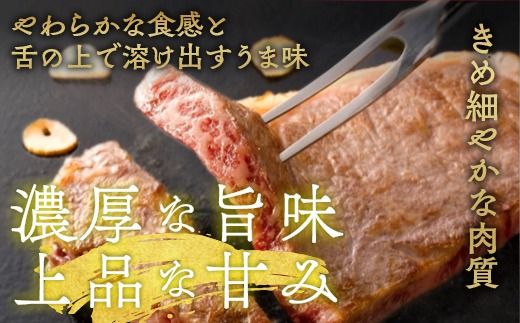 亀岡牛リブロースステーキ 400g（200g×2枚）≪京都府産 丹波 黒毛和牛 牛肉 冷凍 送料無料≫