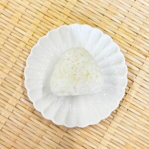 【ふるさと納税】”農薬不使用栽培米” 「おむすび」 4種セット（塩・梅・但馬鴨スモーク・但馬鴨ラー油） 計12個（各3個） お米 米 ごはん ご飯 おにぎり うめ ウメ 鴨肉 お肉 惣菜 朝食 お弁当 冷凍 兵庫県産 国産 兵庫県 新温泉町 送料無料