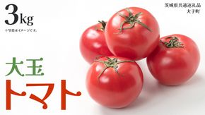 大玉 トマト 3kg (茨城県共通返礼品：大子町) 野菜 フルーツ 旬 季節限定 期間限定
