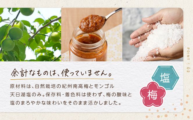 ひとみずの練り梅 200g 自然栽培で育てた紀州南高梅使用 ※栽培期間中、農薬・肥料・堆肥不使用 304018_EW05