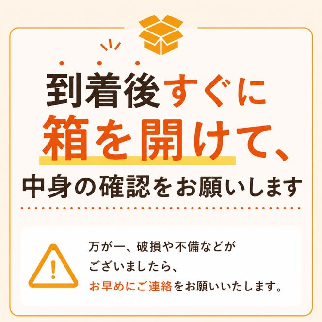 完熟 メロン イバラキング 2玉 │ 3kg フルーツ 産地直送 高級 贈答用 （CK002）
