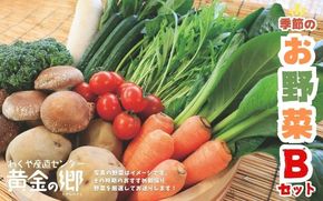 黄金の郷 季節のお野菜 お楽しみBセット / 野菜 やさい セット 詰め合わせ 旬 新鮮 産地直送 朝採れ