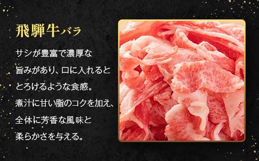 「肉の芸術品」飛騨牛切り落とし（モモ、肩、バラ）1kg（250g×4）【用途は様々！焼肉、BBQ、すき焼き、煮物、牛丼、炒め物など】 F4N-2858