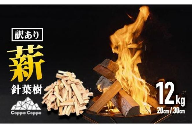 y啪szޖ؉̒[ނp jt d 󂠂 (12kg) ܂  VR ΍ ̗tt Lv LvObY Lvpi AEghA lC  BBQ o[xL[ 啪 s hЁyFV001zy()}cIJz