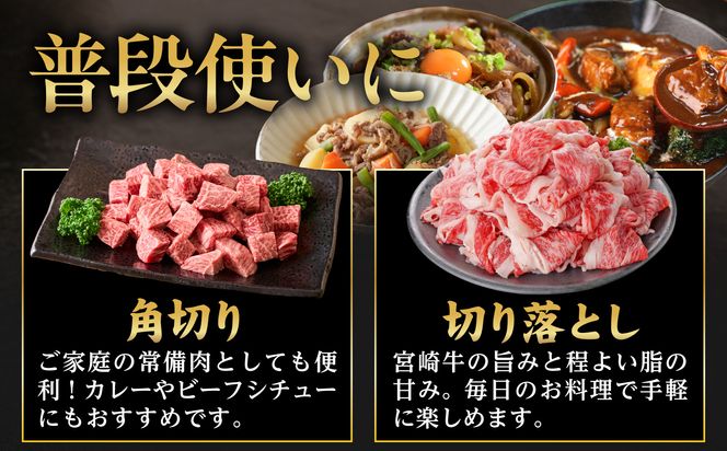 ≪4回お届け≫宮崎牛半頭定期便_T2500-4-N4-011-half 都城産 宮崎牛 定期便 4回 半頭 一頭買い ステーキ サーロイン ヒレ リブロース 焼肉 カルビ すき焼き スライス 赤身 肉 黒毛和牛 ブランド牛 贅沢 グルメ