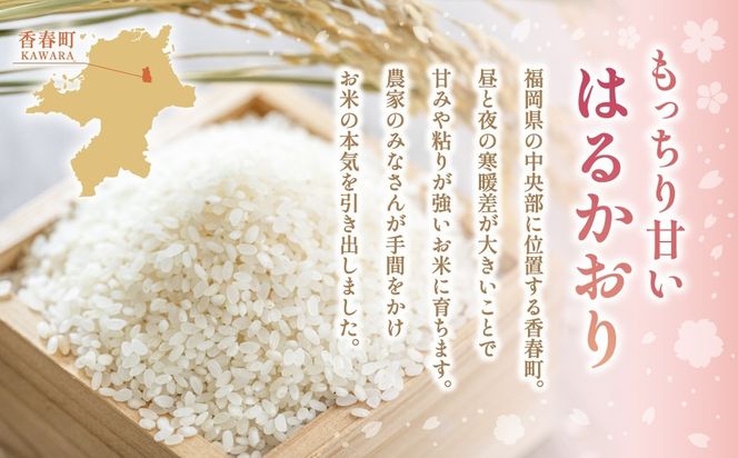 【 令和8年産 】 はるかおり 精米 20kg （ 5kg × 4袋 ） お米 米 こめ コメ 白米 白飯 飯 ご飯 おにぎり 和食 国産 福岡県産 【 2026年10月上旬～順次発送予定 】