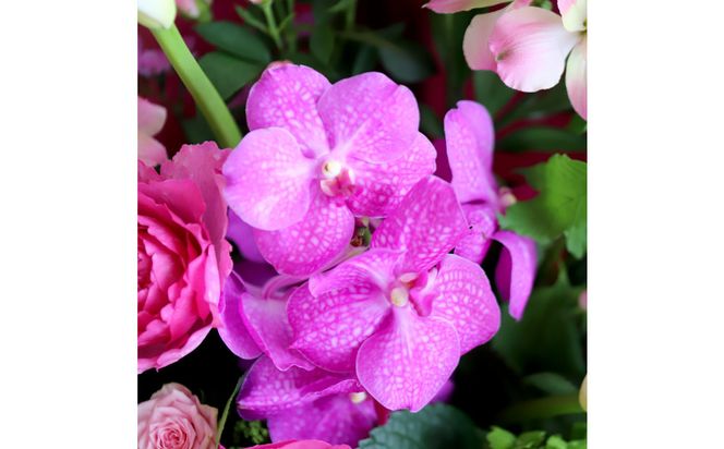 【母の日】華やかに贈るおまかせアレンジメント ※北海道・沖縄・離島への配送不可 313726_BC039