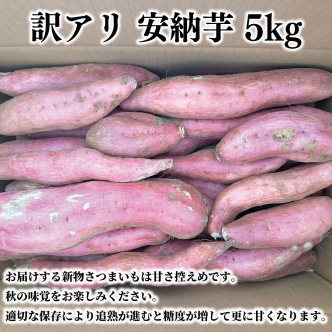 【先行予約】【10月中旬以降より順次発送】訳アリ 茨城県産安納芋 約5kg｜さつまいも 芋 サツマイモ 安納芋 訳あり わけあり 茨城県 取手市（AS004-1）