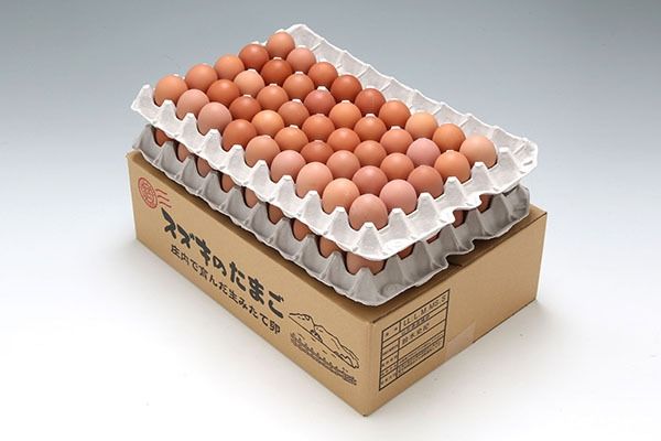 スズキのたまご　地養卵　MS～L　約5kg（80～90個）