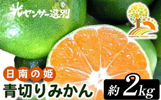 【先行予約】こだわりの青切りみかん 約2kg 農家直送 有機質肥料 100% サイズ混合 ｜ みかん 柑橘 果物 くだもの 果実 フルーツ 和歌山 有田