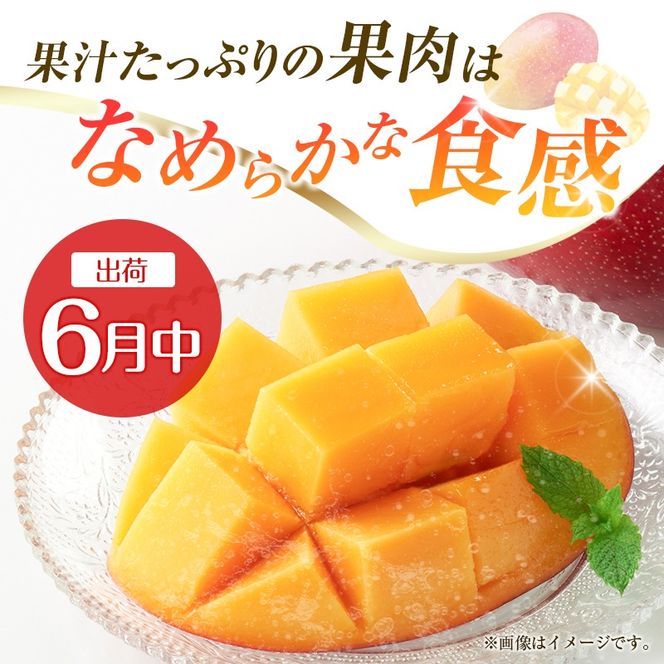 【定期便・全2回】完熟マンゴーとピオーネ定期便（マンゴー 完熟マンゴー アップルマンゴー ブドウ ぶどう 種なし ピオーネ 定期便）