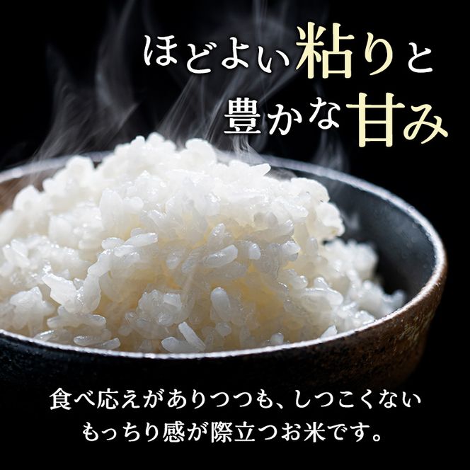 3ヵ月 定期便 (精米12kg)ホクレンゆめぴりか(精米2kg×6袋) 米 お米 白米 ごはん ご飯 ライス 和食 炭水化物 主食 おにぎり お弁当  [JA新おたる]