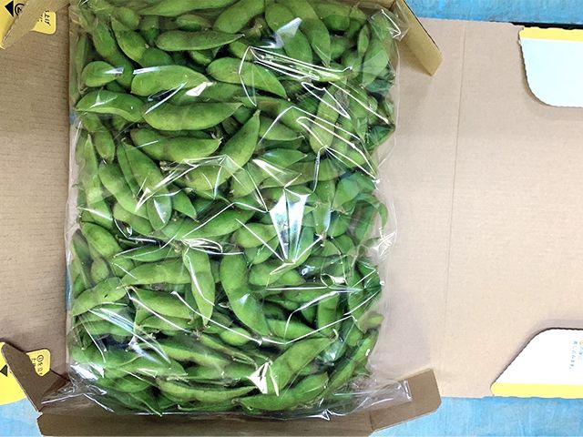 【 2026年産 数量限定 】青森の定番 毛豆 約1kg【 9月 クール便発送 】青森県鰺ヶ沢町産 ※オンライン決済のみ 野菜 枝豆 大粒 甘みが強い 豊かな香り コク ほっくり おつまみ 料理 お弁当 食材