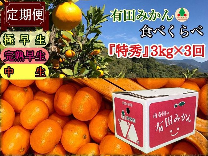 【 5年間 有田みかん 3種 食べくらべ ／ 全15回 】 特秀 3kg × 3回 × 5年 コース 南泰園 みかん BS808-5ey