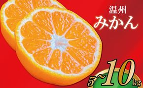 【2026年11月上旬より順次発送】【極撰】みかん 香川 温州みかん 約10kg フルーツ 果物 柑橘 柑橘類 デザート おやつ 旬 産地直送 冬の味覚 旬の果物 旬のフルーツ お取り寄せ 取り寄せ 送料無料 温州ミカン ミカン 蜜柑