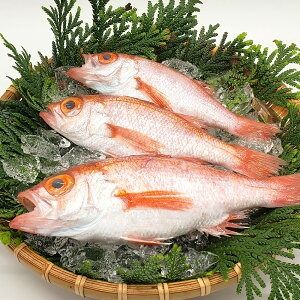 【ふるさと納税】のどぐろ 生冷凍と干物の詰合せ ノドグロ 下処理済 冷凍 干物 セット 詰め合わせ 約120g×3尾 + 60～80g×3枚 魚 魚の干物 煮つけ 塩焼き 海鮮 魚介 兵庫県 新温泉町 送料無料