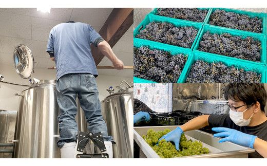 【 数量限定 】エピヌ メルロ 2021 茨城県産 牛久醸造場 日本ワイン 赤ワイン 750ml × 1本 やや辛口 ミディアムボディ お酒 贈り物 ラズベリー [BJ017us]