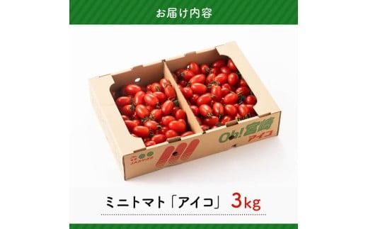 宮崎県産ミニトマト「アイコ」3kg 【 宮崎県産 ミニトマト トマト 】[C03805]