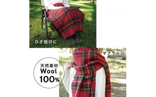 ハーフブランケット ひざかけ ウール100％ 光吸収発熱ウール バナウォーム 大判ストール 暖かい ひざ掛け 膝掛け おしゃれ ブランケット