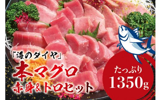 本マグロ（養殖）トロ＆赤身セット 1350g 【12月発送】【配達日指定不可】高級 クロマグロ  中トロ 中とろ まぐろ マグロ 鮪 刺身 赤身 柵 じゃばらまぐろ 本マグロ 本鮪【nks111B-12】