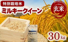 ミルキークイーン（特別栽培米）玄米 30㎏【002117D】