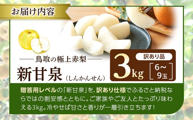 1255.【2026年度発送先行予約】訳あり　新甘泉　3kg 313726_CS004
