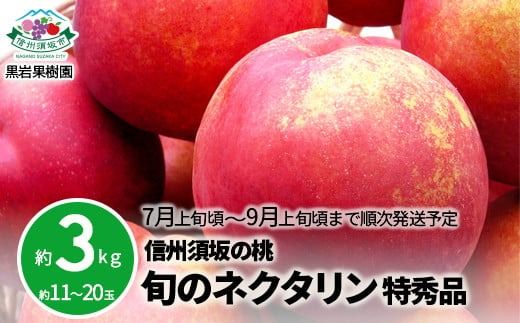 信州須坂の桃 旬のネクタリン 特秀品 約3kg (約11～20玉) 《黒岩果樹園》■2025年発送■※7月上旬頃～9月上旬頃まで順次発送予定