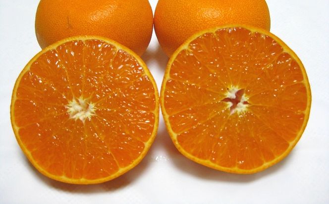 【 小豆島 】小豆島せとか 約5kg 柑橘 果物 せとか フルーツ ジューシー フレッシュ くだもの 国産 香川 香川県 土庄 土庄町