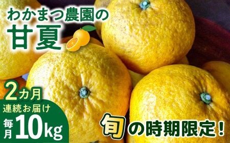 【全2回定期便】【 有機栽培 】 甘夏 10kg 栽培期間中 農薬 不使用 糸島市 / わかまつ農園 / 果物 フルーツ [AHB051]