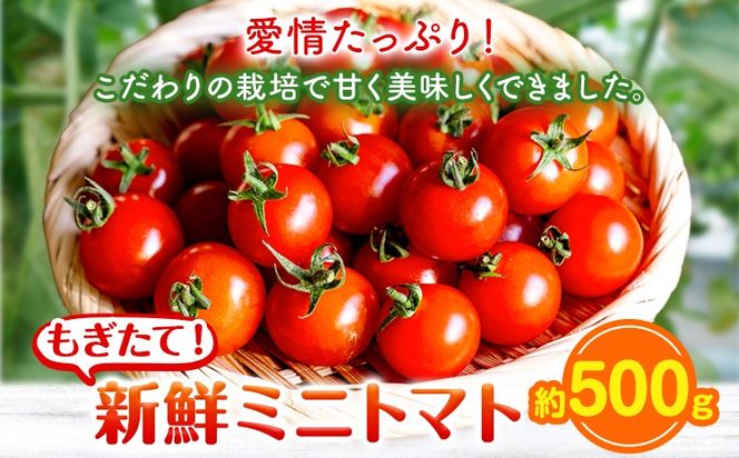 yR|z~jg}g 500g o_ s1{-5oׁt R |  ~jg}g  VN---osy_iktmt_af15_24_5500_500---