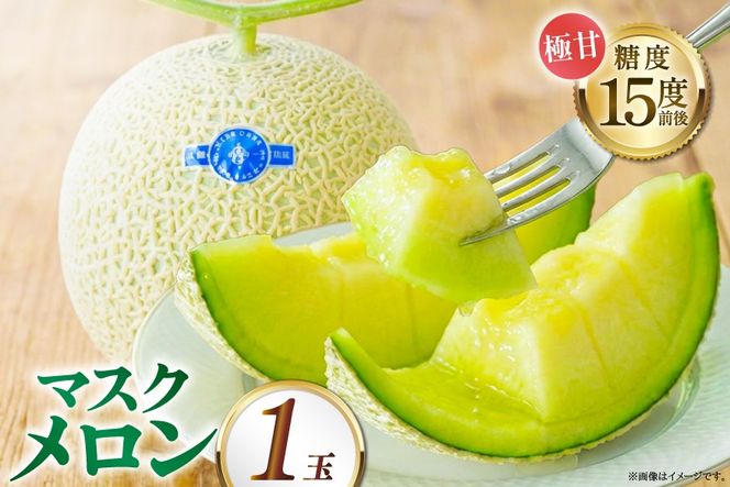 【期間限定発送】AB010 その道一筋の生産者がじっくり丁寧に育てた マスクメロン 1玉入