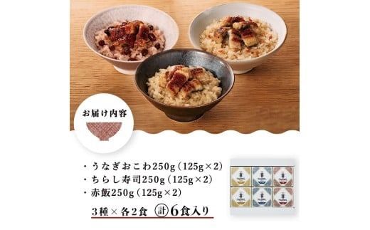 鹿児島県産うなぎ使用！山田のうなぎめし1箱(6食入) a3-237