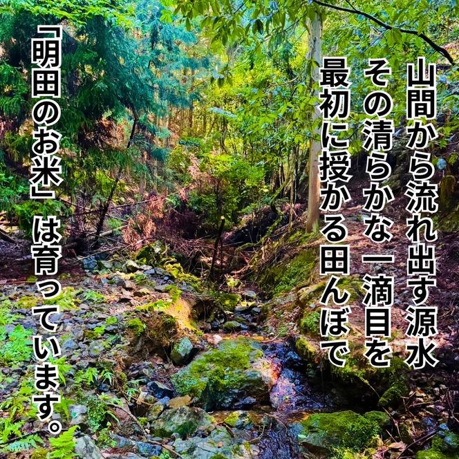 令和8年産 新米 キヌヒカリ 10kg (精米) 明田のお米 精米 お米 新米 南丹市 京都 新米26