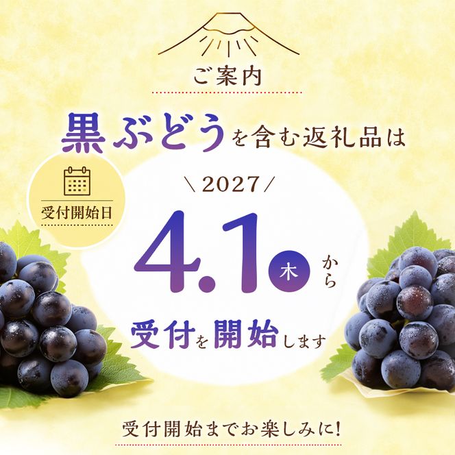 【2027年発送 先行予約】【定期便】厳選 旬のフルーツ定期便　厳選 フルーツ 定期便 シャインマスカット 桃 果物 フルーツ くだもの 旬 もも ぶどう 山梨 富士吉田