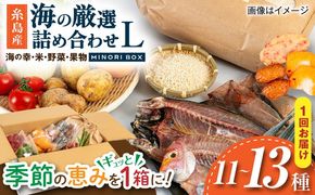 【年内発送】糸島産 魚 米 野菜 果物 厳選詰め合わせ MINORI BOX Lサイズ 糸島市 / emma.Inc / 米 魚 野菜 果物 詰め合わせ[AOP027]