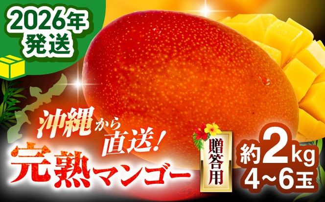 yꌧszys\ 2026N \tz n}S[ 2kg (4`6 / ϔEGi) }S[  ʕ t[c Mtg s / Ղ`s [BCAA004]