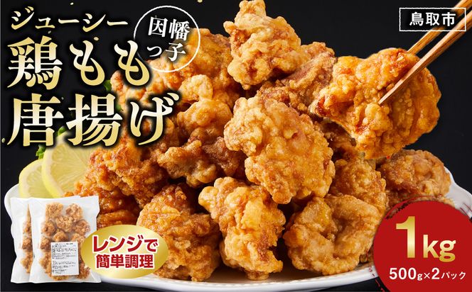 y挧szq W[V[{g 500g×2pbN 312011_DU022