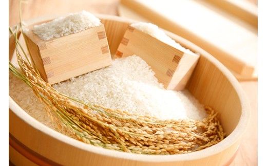 【新米　先行予約】令和8年産冷めても美味しいあっさりとした味わい「みずかがみ」白米【10kg（5kg×2袋）】【C077W】
